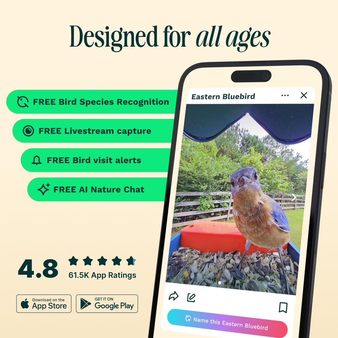 Birdbuddy PRO Solar Smart Bird Feeder With Camera, 5MP Photos, 2K HD Video, Blue - PRO