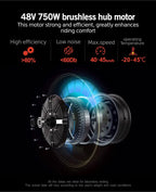 Electric Bike 48V/15Ah Lithium Battery - 750W