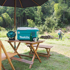 Makita 18V X2 LXT 20 L (21 qt) Cooler/Warmer, 12V/24V DC And AC - DCW180Z