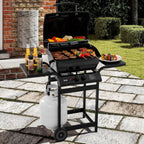 2 Burner Propane Gas Grill, 26,500 BTU, Porcelain-Enamel Body And Lid, 416 Sq. In. - With Warming Rack And Side Tables