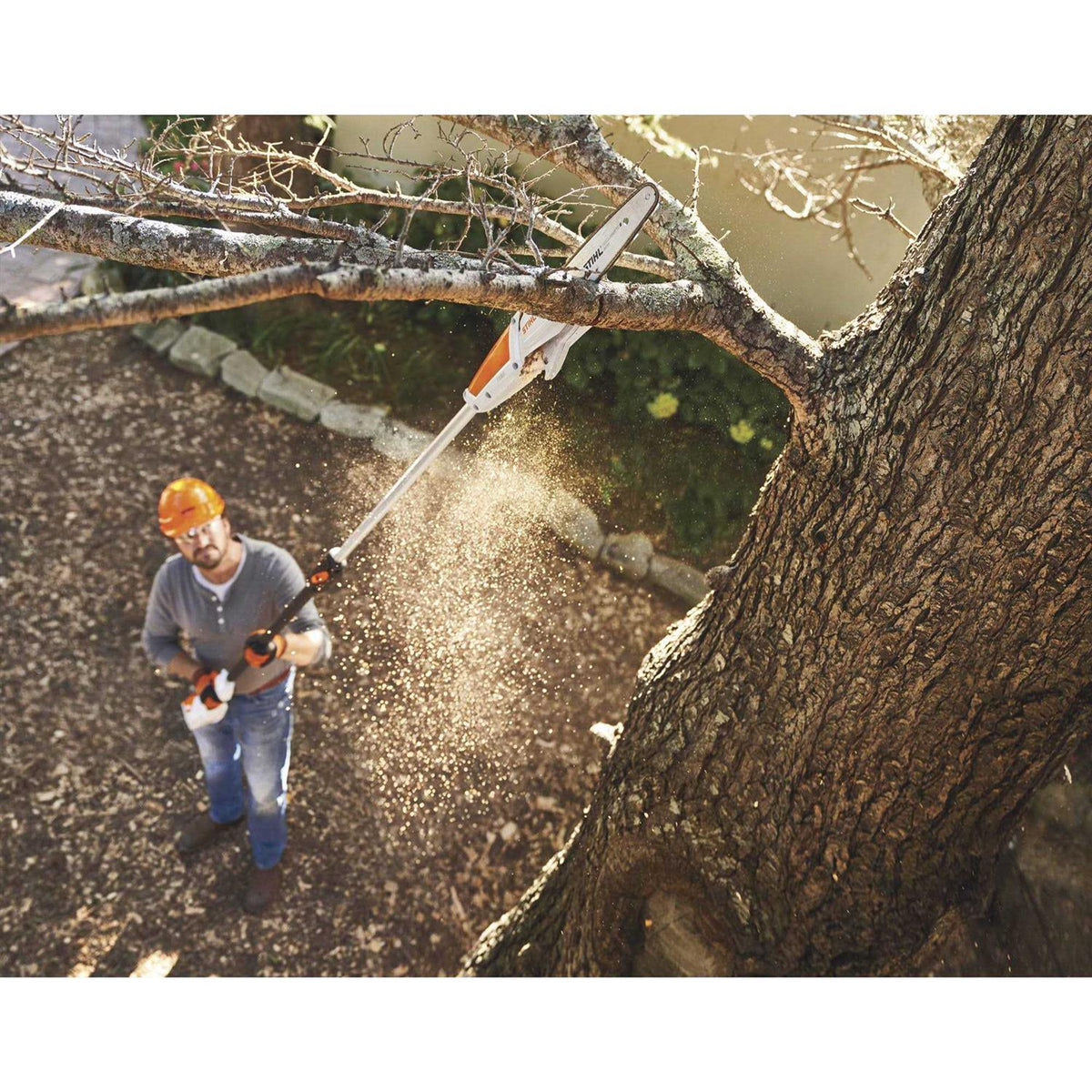 STIHL Battery Pole Pruner - HTA 50