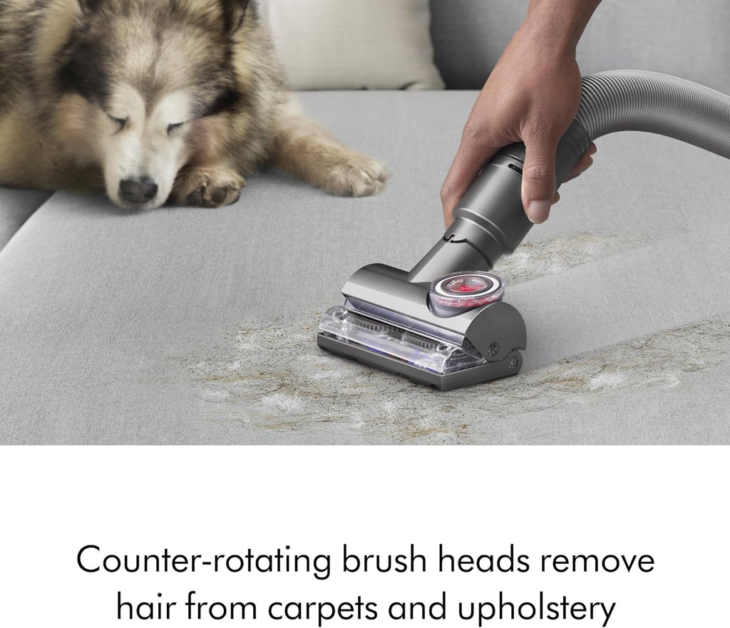 Dyson Ball Animal Total Clean Upright Vacuum - Corded, 290AW