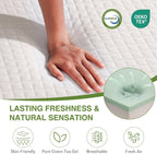 EGOHOME 12 in Queen Memory Foam Mattress In A Box With Cooling Green Tea Gel, Medium Support, 80 in L x 60 in W, White