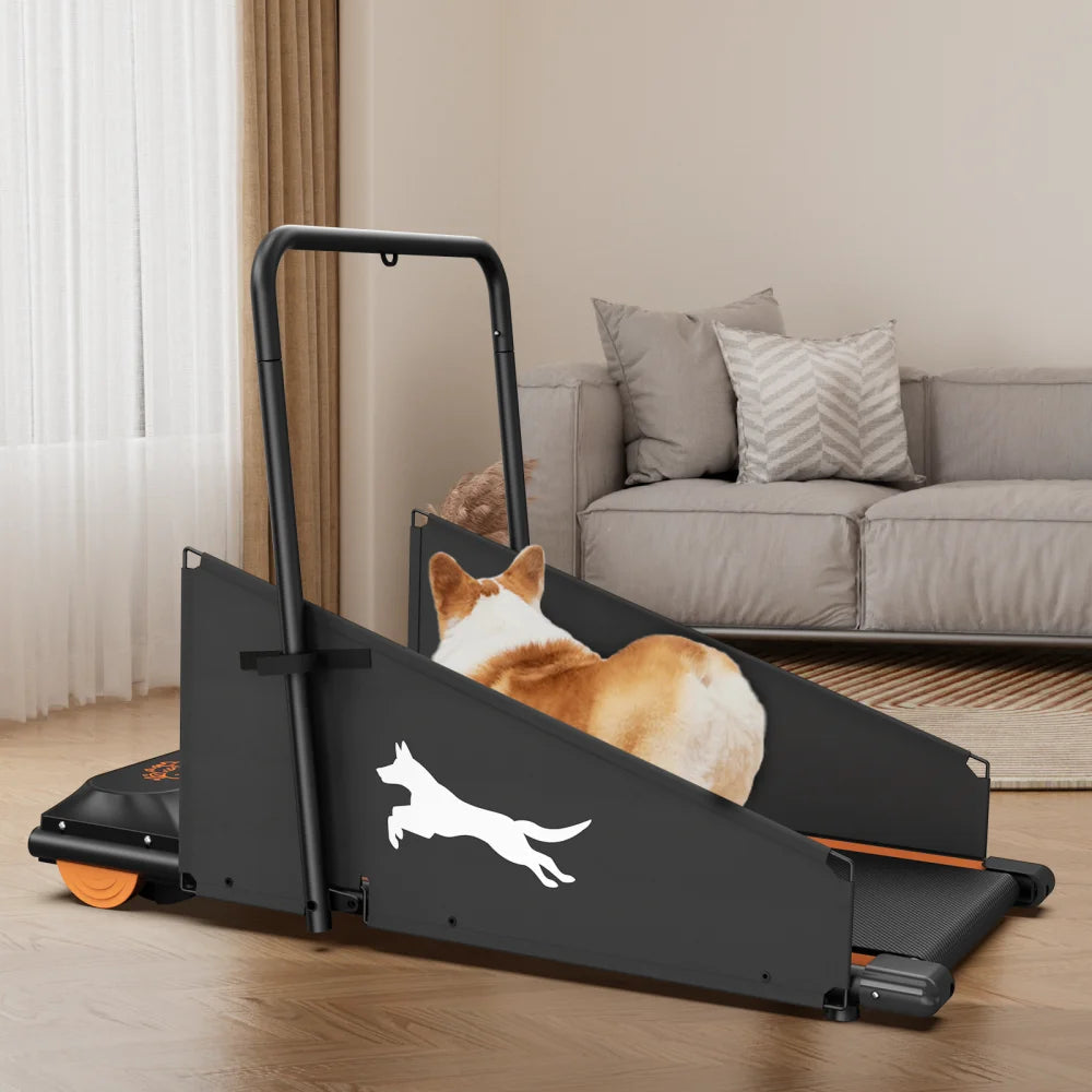 Dog Treadmill For Small And Medium Dogs - W215P235106