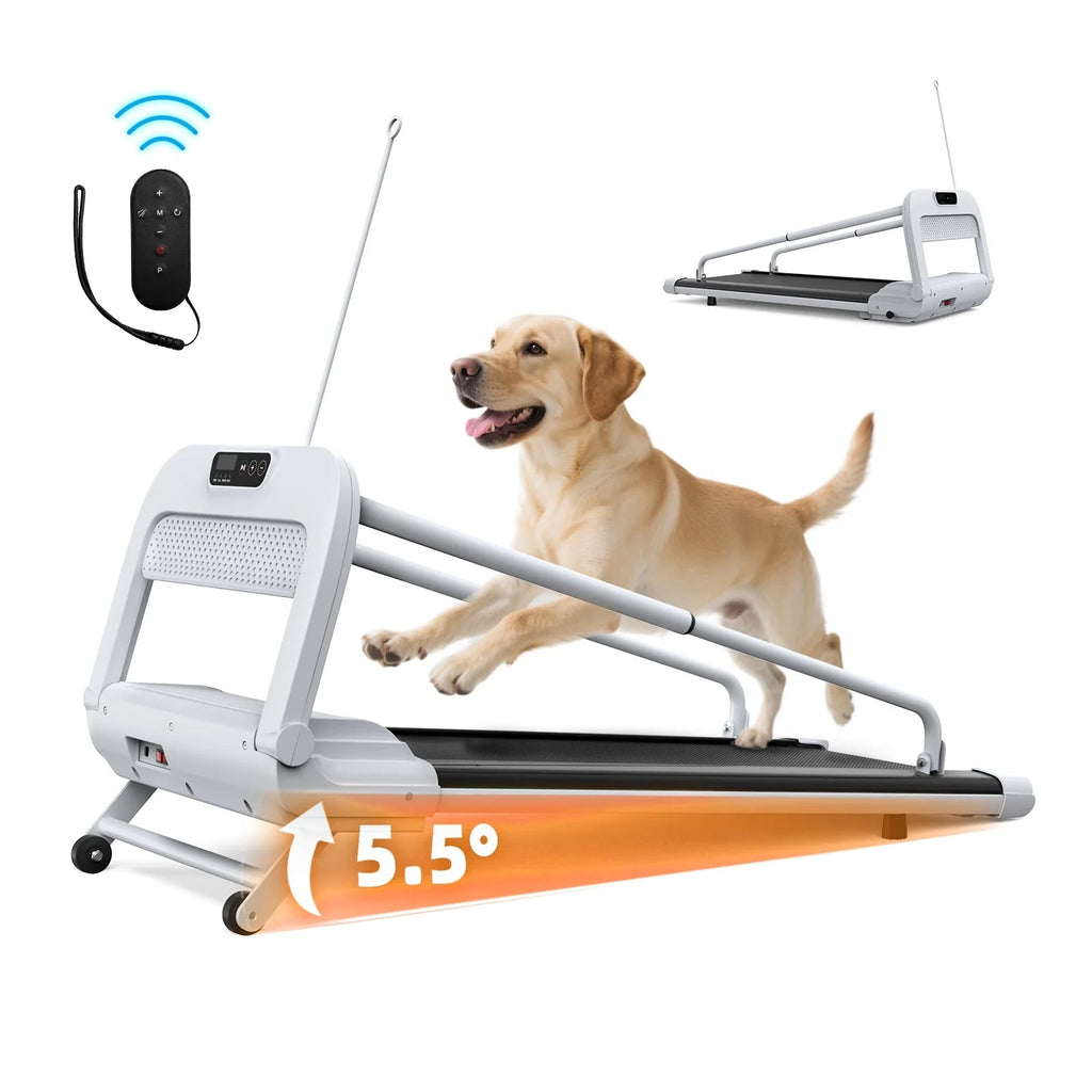 Ambifirner 2 In 1 Dog Treadmill For Small/Medium Dogs, 265 lbs Weight Capacity, Off White
