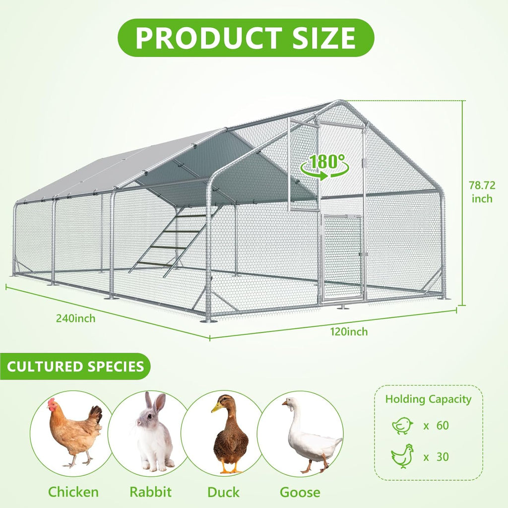 Metal Chicken Run With Feeding Door, Anti-UV Cover And Perch - 6-5x10-ft, 13x10-ft, 20x10-ft Or 26x10-ft