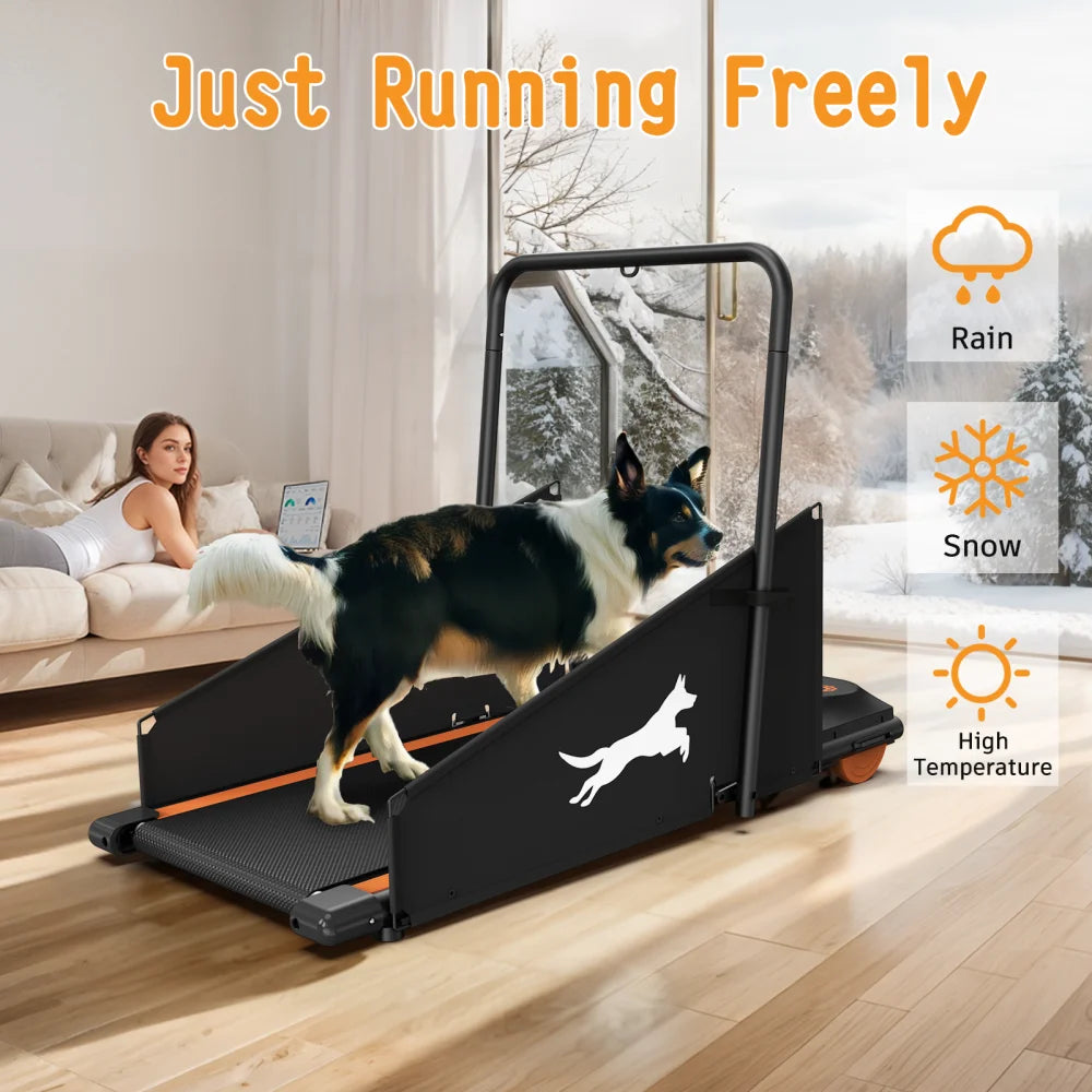 Dog Treadmill For Small And Medium Dogs - W215P235106