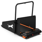 Dog Treadmill For Small And Medium Dogs - W215P235106