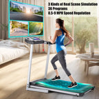 Folding Treadmill With 10 in HD Touchscreen, 3.25HP, 0.5-9MPH, WiFi - Silver