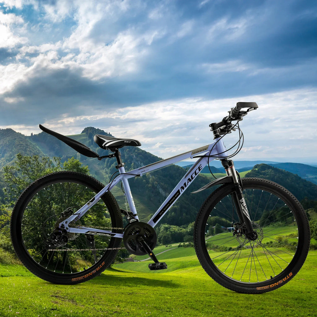 ARTUDATECH 26 Inch 27-Speed Dual Suspension Mountain Bike - Silver, Blue, Gray And Red