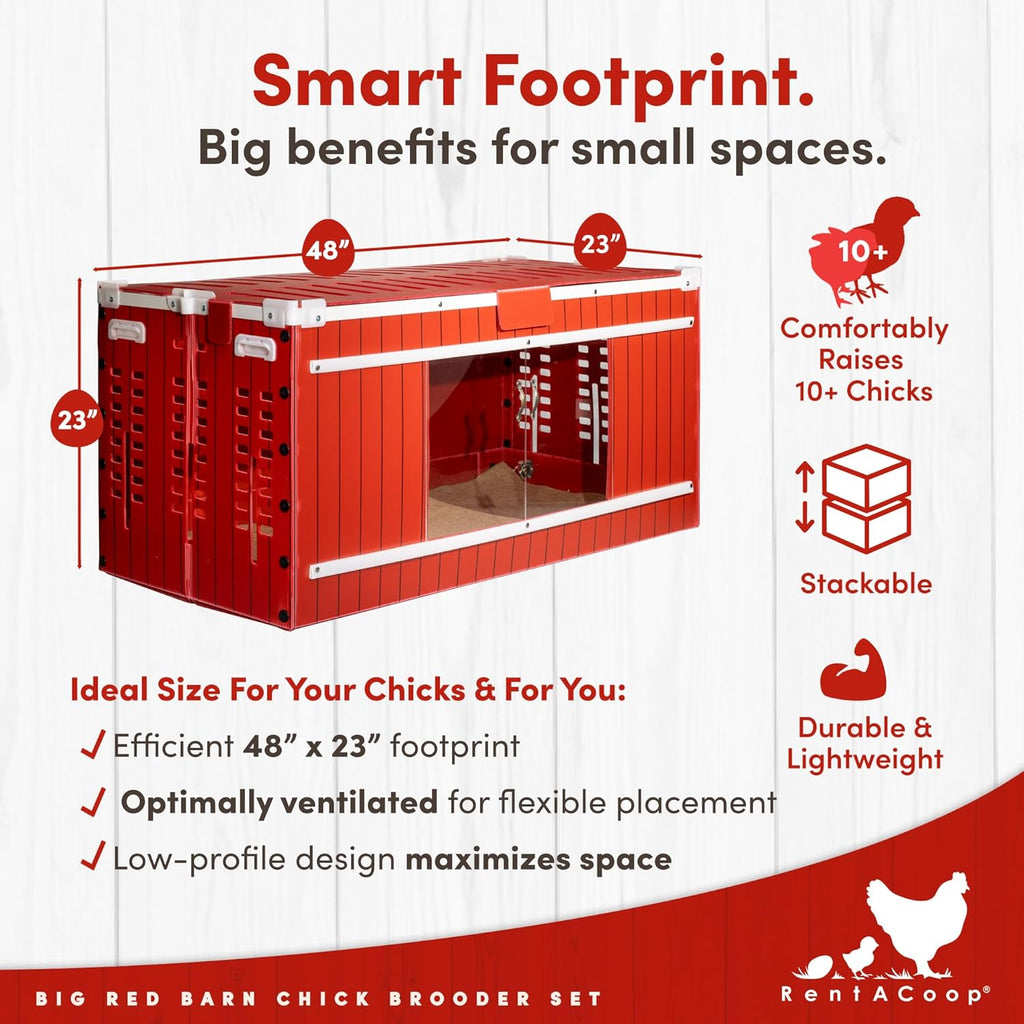 RentACoop Big Red Barn Chick Brooder Set With 12 x 12 Heating Plate, Feeders And Waterers