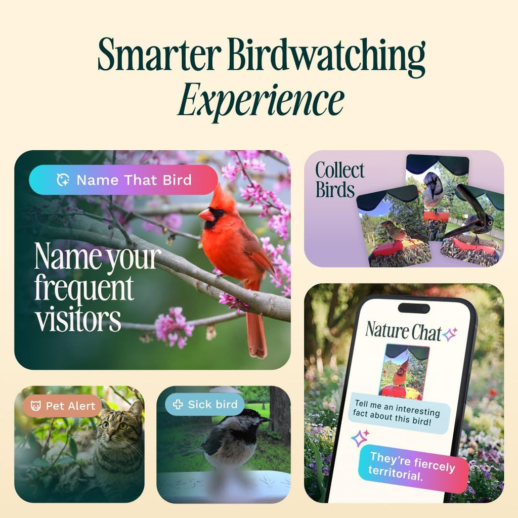 Birdbuddy PRO Solar Smart Bird Feeder With Camera, 5MP Photos, 2K HD Video, Blue - PRO