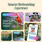 Birdbuddy PRO Solar Smart Bird Feeder With Camera, 5MP Photos, 2K HD Video, Blue - PRO