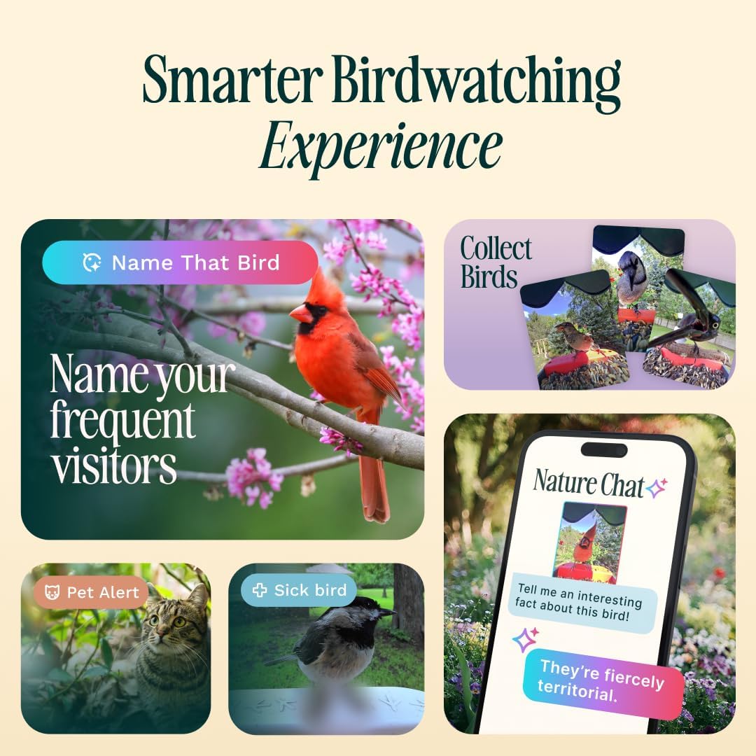 Birdbuddy PRO Solar Smart Bird Feeder With Camera, 5MP Photos, 2K HD Video, Blue - PRO