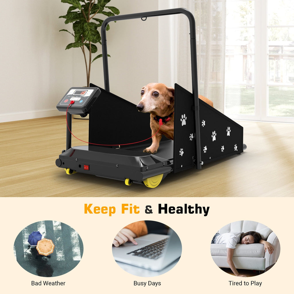 Hapycity Dog Treadmill 265LB Capacity With LCD Display And Remote