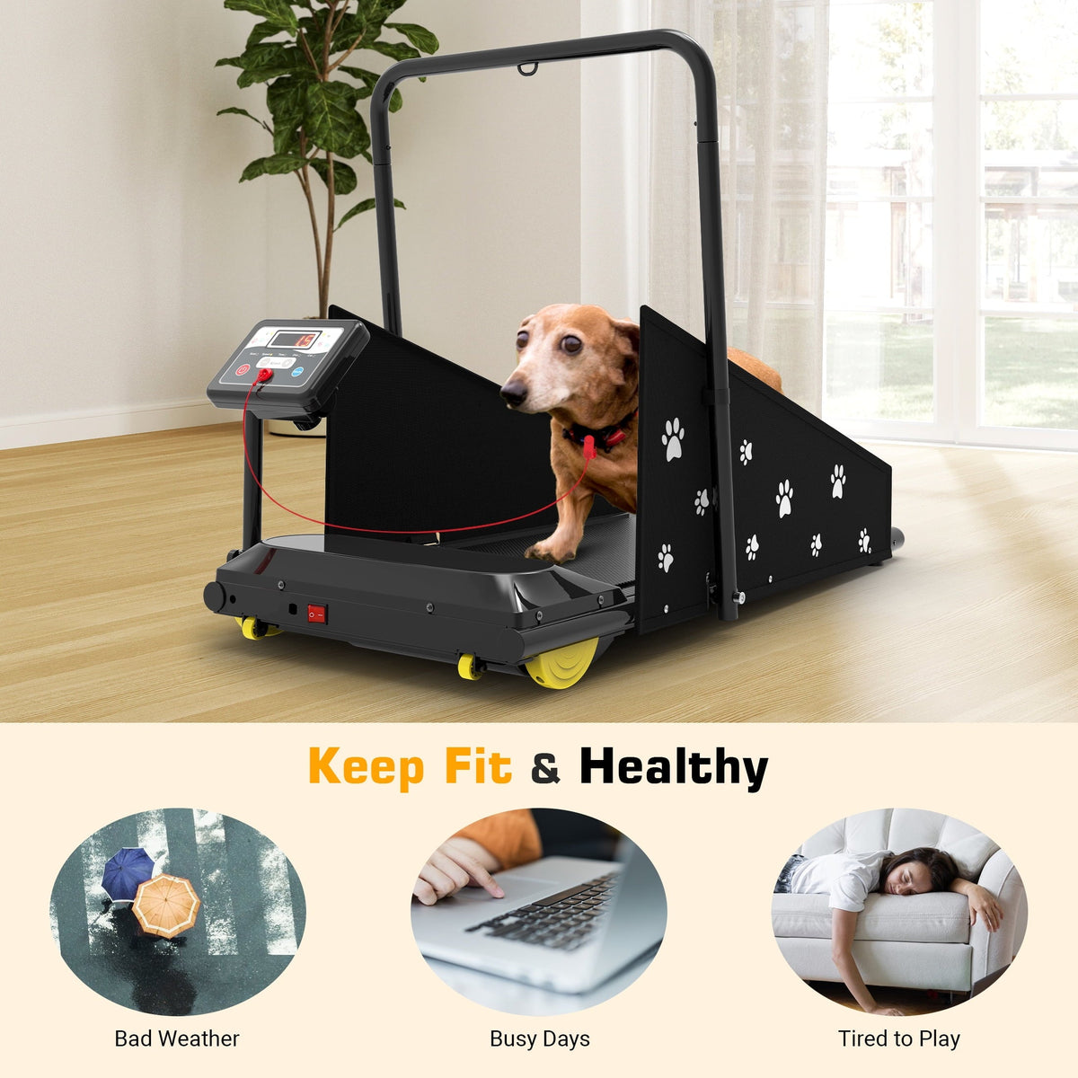 Hapycity Dog Treadmill 265LB Capacity With LCD Display And Remote