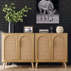 Rovaurx Set Of 2 Rattan Storage Cabinets With Doors
