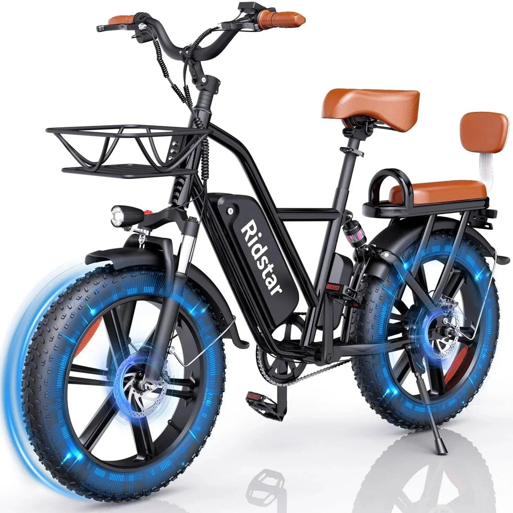 Bopzin Adult Electric Bicycle 1000W, 48V 15Ah Battery, 20 in x 4.0 in - FM001