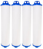 Neo-Pure Big Bubba 10 Micron Carbon Block Filter Cartridge, 26in, 4 Pack - BB150-CTO for Watt's BBC-150-ACP BBH-150