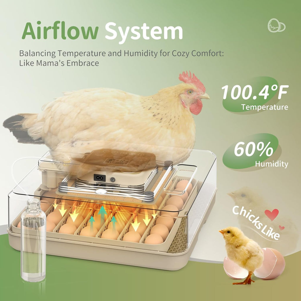Egg Incubator With Automatic Egg Turning And Humidity Control - 48 Eggs