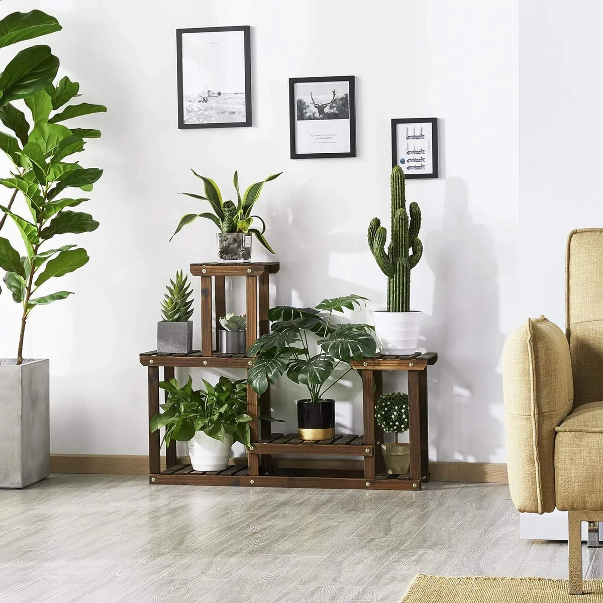 Wooden Plant Display Stand - Fir Wood