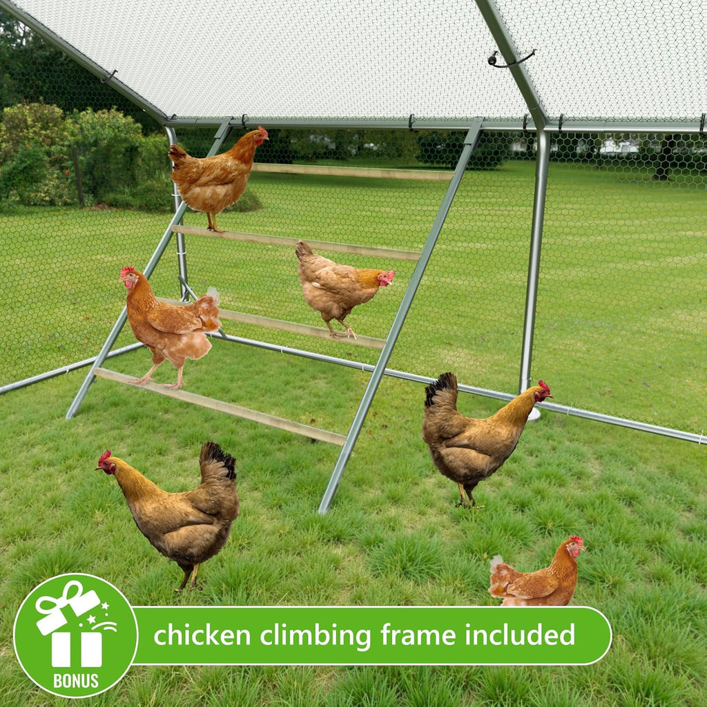 Metal Chicken Run With Feeding Door, Anti-UV Cover And Perch - 6-5x10-ft, 13x10-ft, 20x10-ft Or 26x10-ft