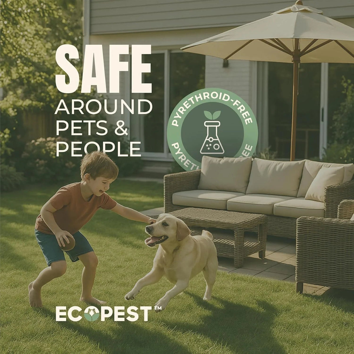 EcoPest Mite Spray Natural Killer For Dust, Bird, Spider, Scabies And Other Mites - 1 Gallon