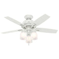 Hunter Ceiling Fan With Bowl Light Fixture And 44in Blades - Donegan