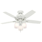 Hunter Ceiling Fan With Bowl Light Fixture And 44in Blades - Donegan