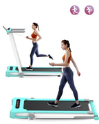 FYC 2-in-1 Under Desk Treadmill, 2.5HP, 41.3 x 15.6 inch, 265 Lbs Capacity, Green
