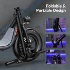 5TH WHEEL Electric Scooter With Seat And Carry Basket, 450W, 36V, 20-Mile Range, 15.5 Mph, 12 Inch - W18S