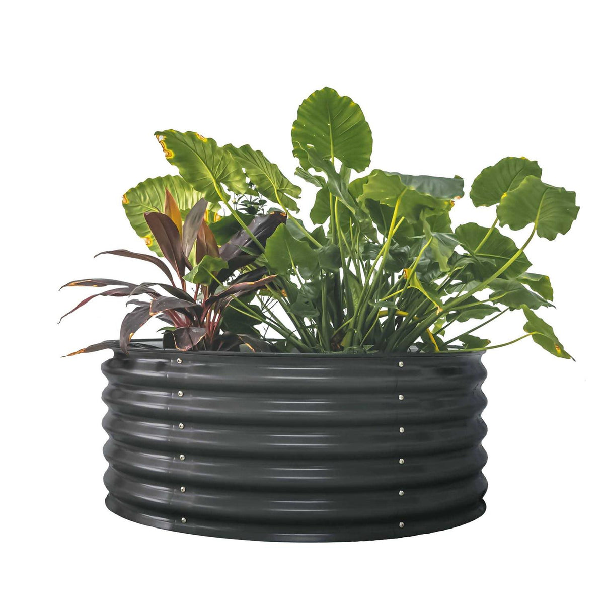 Vego Garden Tall Round Metal Raised Garden Bed - 17 Inch Tall, 42 Round