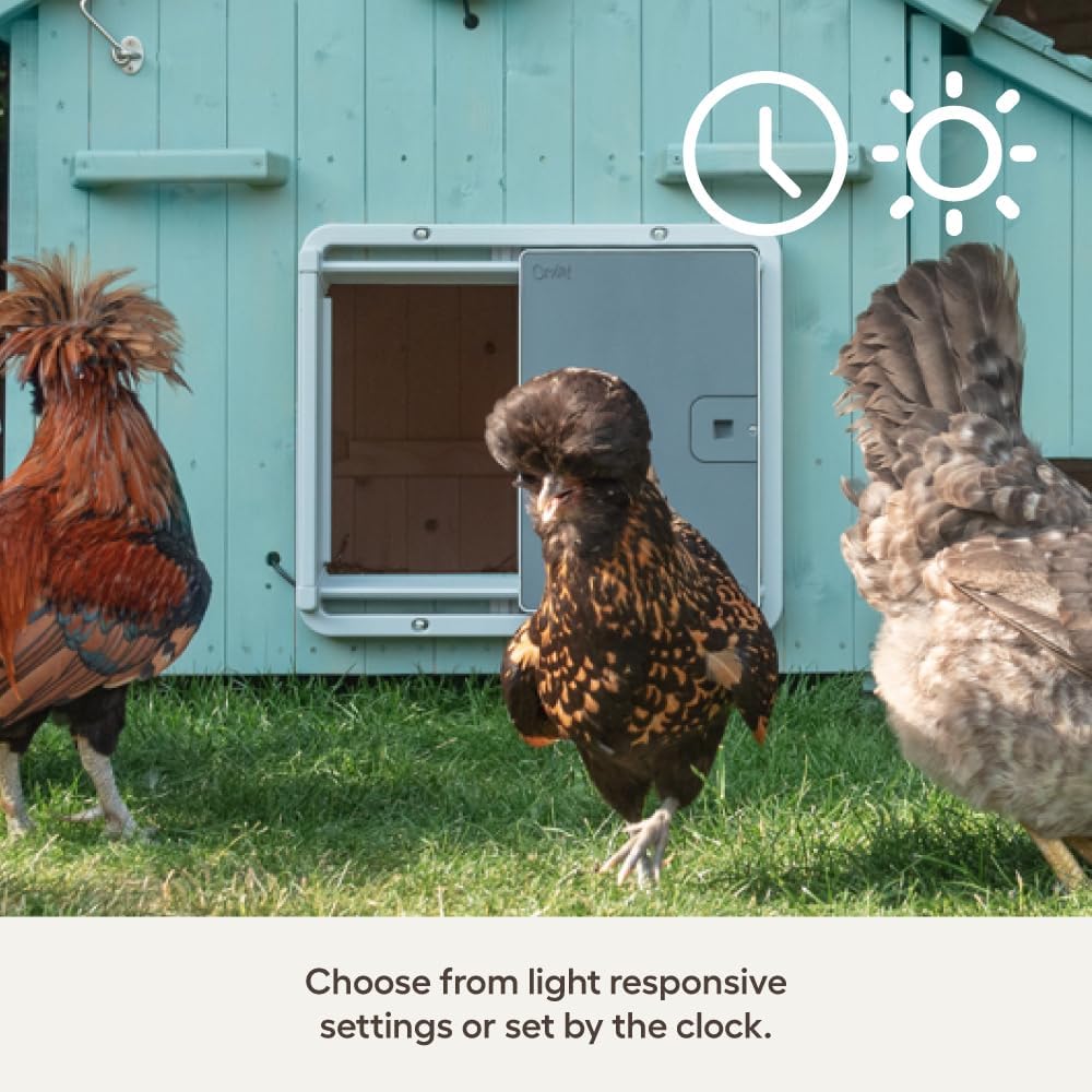 Omlet Smart Automatic Chicken Coop Door Opener - Wi-Fi Enabled