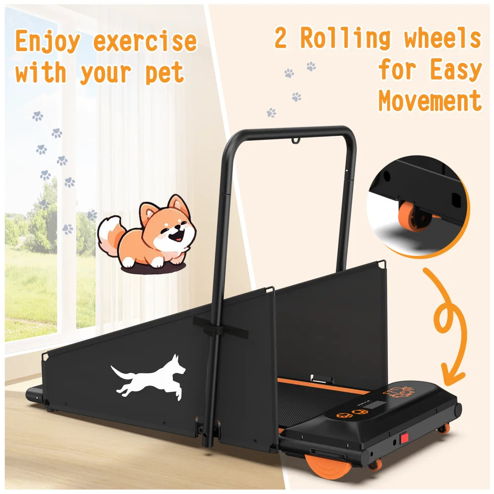 Dog Treadmill For Small And Medium Dogs - W215P235106