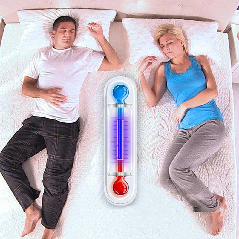 MyPillow Mattress Topper - 2 Inch