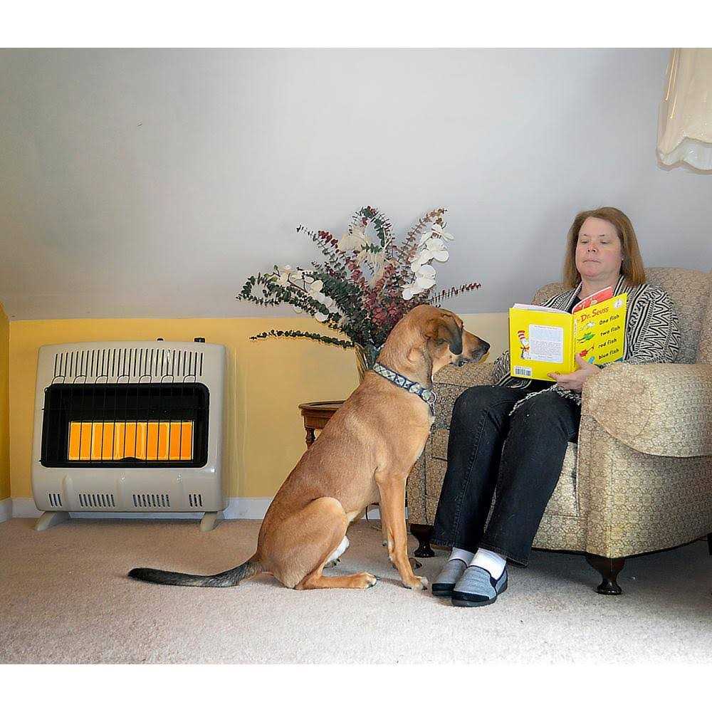 Mr. Heater Vent Free Radiant Natural Gas Heater, 30,000 BTU - F299831