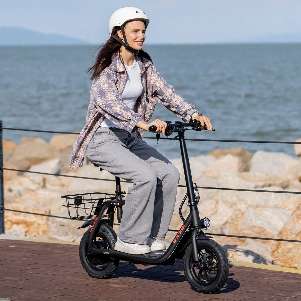 5TH WHEEL Electric Scooter With Seat And Carry Basket, 450W, 36V, 20-Mile Range, 15.5 Mph, 12 Inch - W18S
