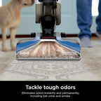 Shark CarpetXpert Carpet Cleaner, Cyan, 13.15 in D x 11.97 in W x 43.5 in H - EX201