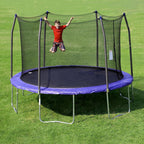 Round Trampoline With Enclosure And Spring Pad, 12-Foot, Blue