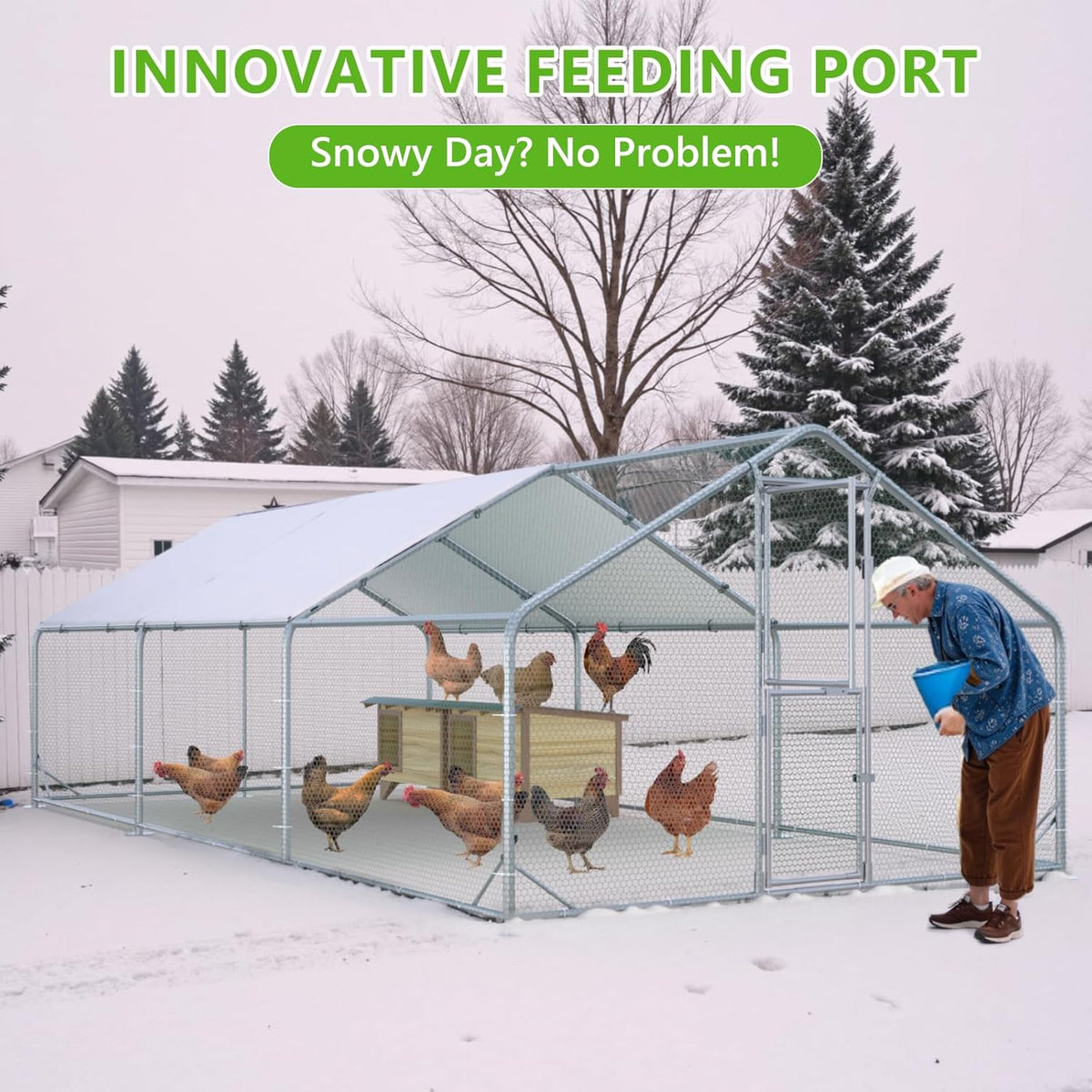 Metal Chicken Run With Feeding Door, Anti-UV Cover And Perch - 6-5x10-ft, 13x10-ft, 20x10-ft Or 26x10-ft