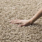 SAFAVIEH Athens Shag Area Rug 9x12 Beige - SGA119G