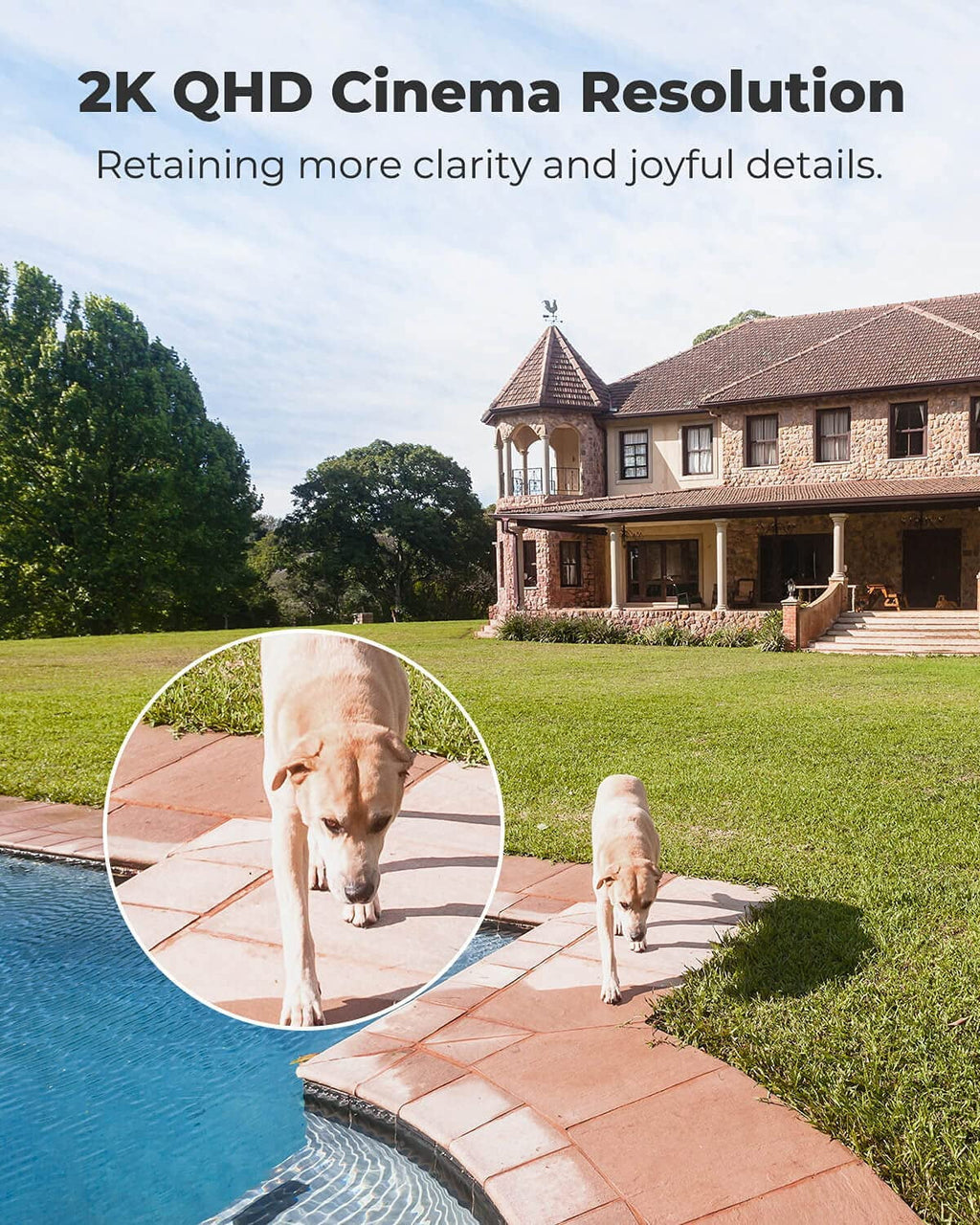 Reolink Outdoor Battery-Powered WiFi Security Camera, 4MP, 2.4/5GHz - Argus 3 Pro