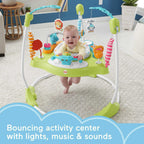 Fisher-Price Fitness Fun Folding Jumperoo Infant Activity Center With Lights & Music - HBM25