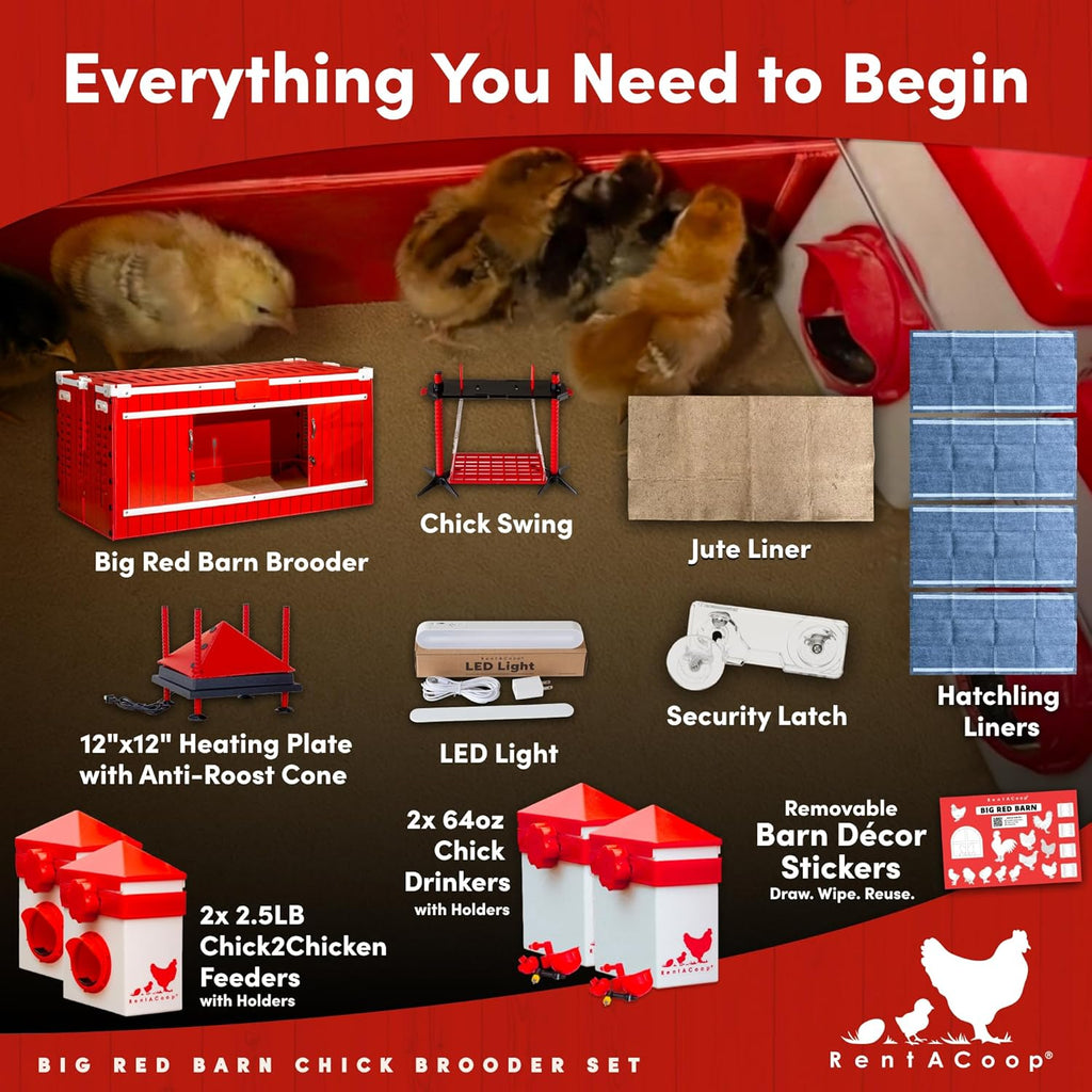 RentACoop Big Red Barn Chick Brooder Set With 12 x 12 Heating Plate, Feeders And Waterers