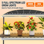 5-Tier Metal Indoor Greenhouse With Grow Lights And PVC Cover - 49 x 21.6 x 79 inch