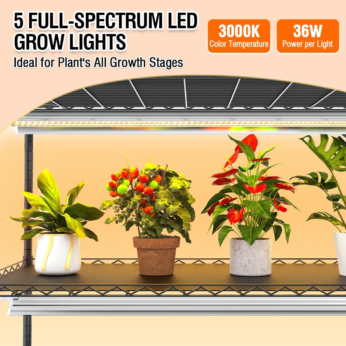 5-Tier Metal Indoor Greenhouse With Grow Lights And PVC Cover - 49 x 21.6 x 79 inch