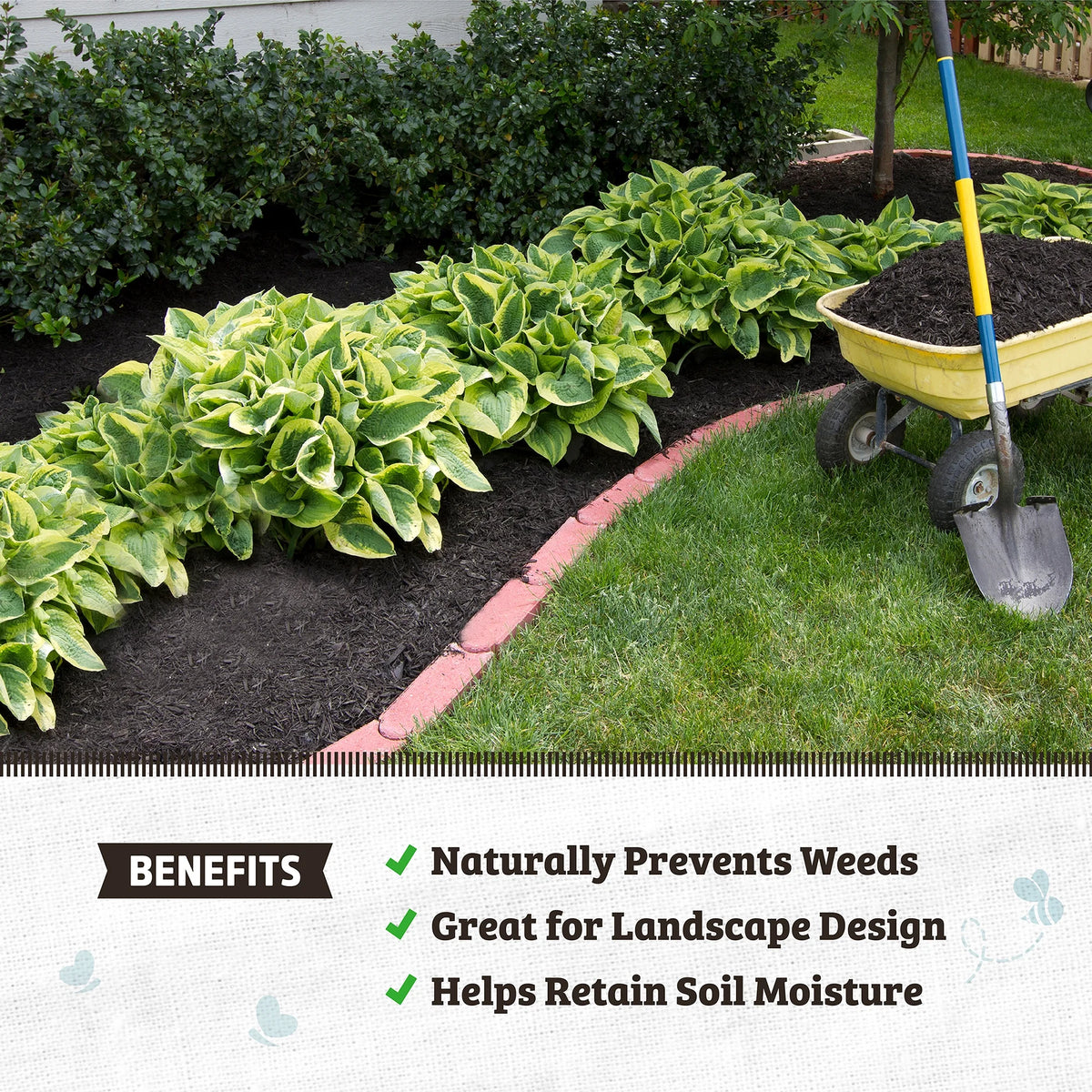 Back to the Roots Organic Bark Mulch - 10 1 cu. ft. Bags