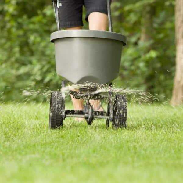 Lilly Miller Moss Out Lawn Granules, 20 Lb - 5601151