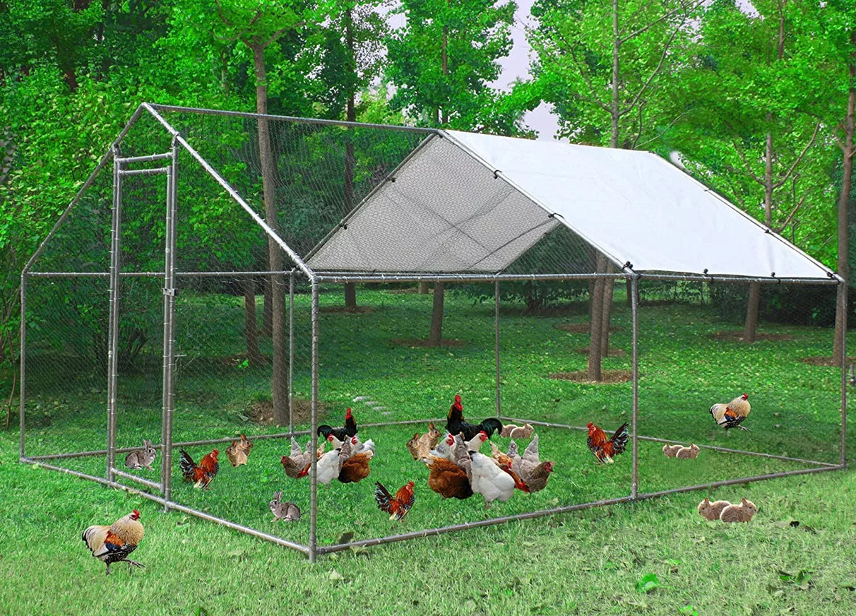 Metal Walk-In Chicken Run Cage With Cover, 10'L X 6.6'W X 6.56'H