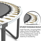 JUMPZYLLA Recreational Trampoline With Enclosure And Ladder - 12 FT